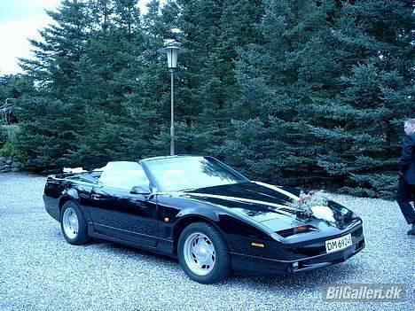 Pontiac Trans Am GTA Special E. - Mens vi boede i DK, blev bilen brugt til nogle venners bryllup. billede 8