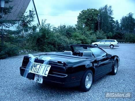 Pontiac Trans Am GTA Special E. - Sådan så den ud efter 8 timers polering, og meget ømme hænder. billede 9