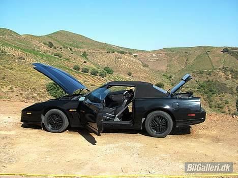 Pontiac Trans Am GTA Special E. - Der manglede lige et enkelt billede af bilen med kalechen oppe. ;-) billede 15