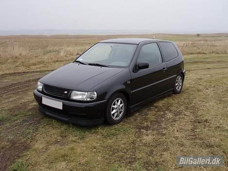 VW polo 6n billede 3