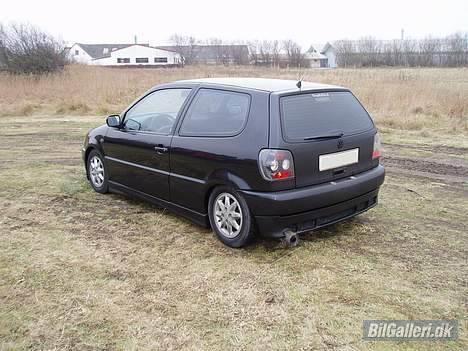 VW polo 6n billede 4