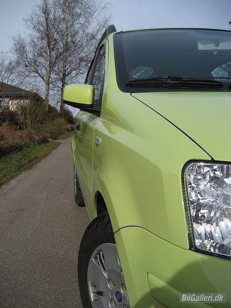 Fiat Panda Dynamic ¤¤¤SOLGT¤¤¤ - Vores dejlige Guacemole grønne Panda! billede 1