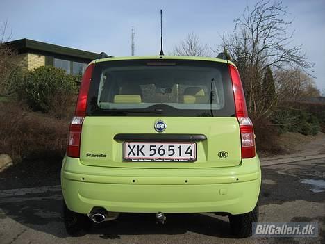 Fiat Panda Dynamic ¤¤¤SOLGT¤¤¤ - Bagfra... billede 3