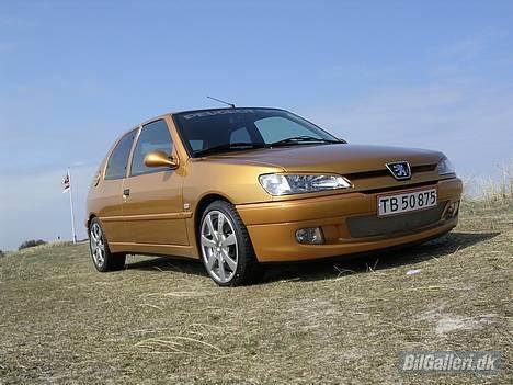 Peugeot 306"Guldklumpen" - Her kan man se løven nede fra :D billede 2