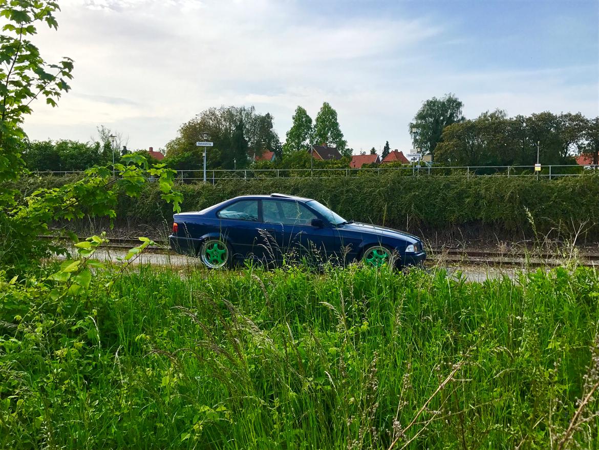 BMW BMW E36 320i Coupé (M-TECH) billede 14