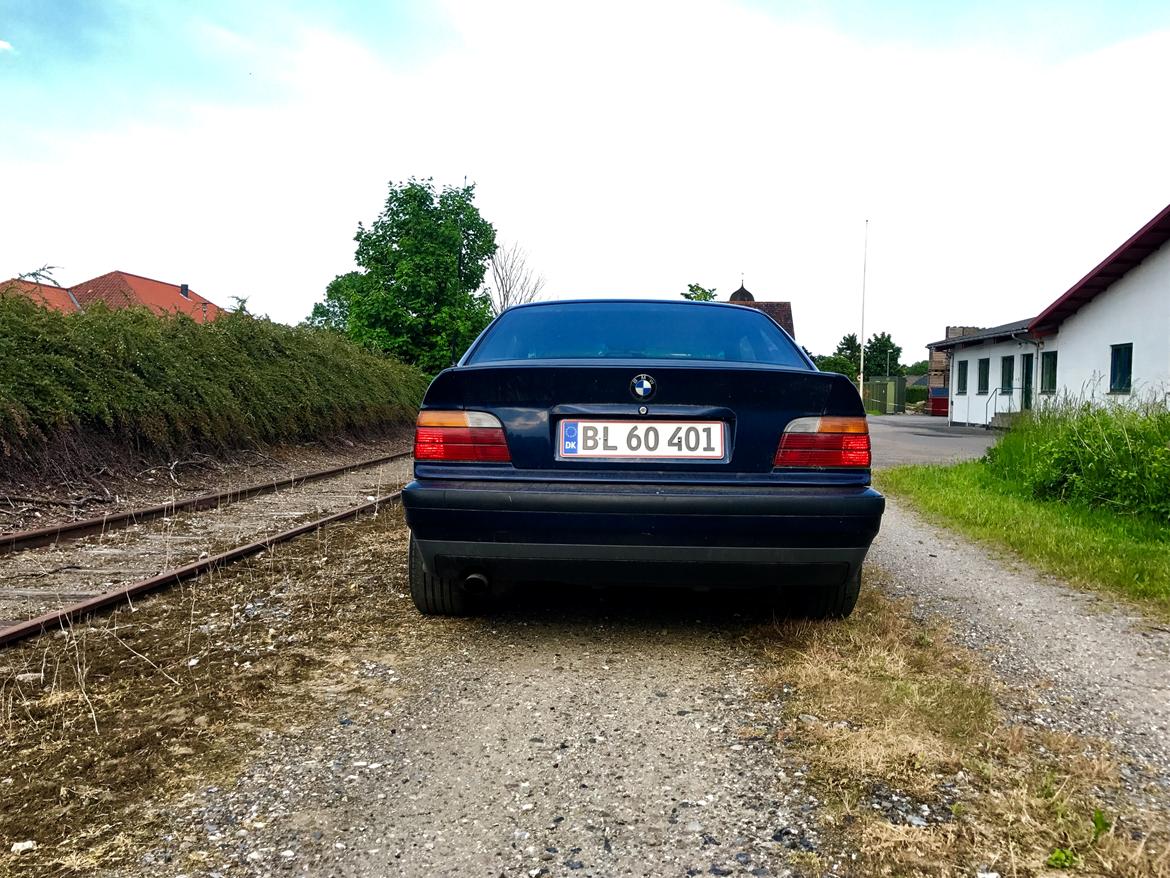 BMW BMW E36 320i Coupé (M-TECH) billede 15