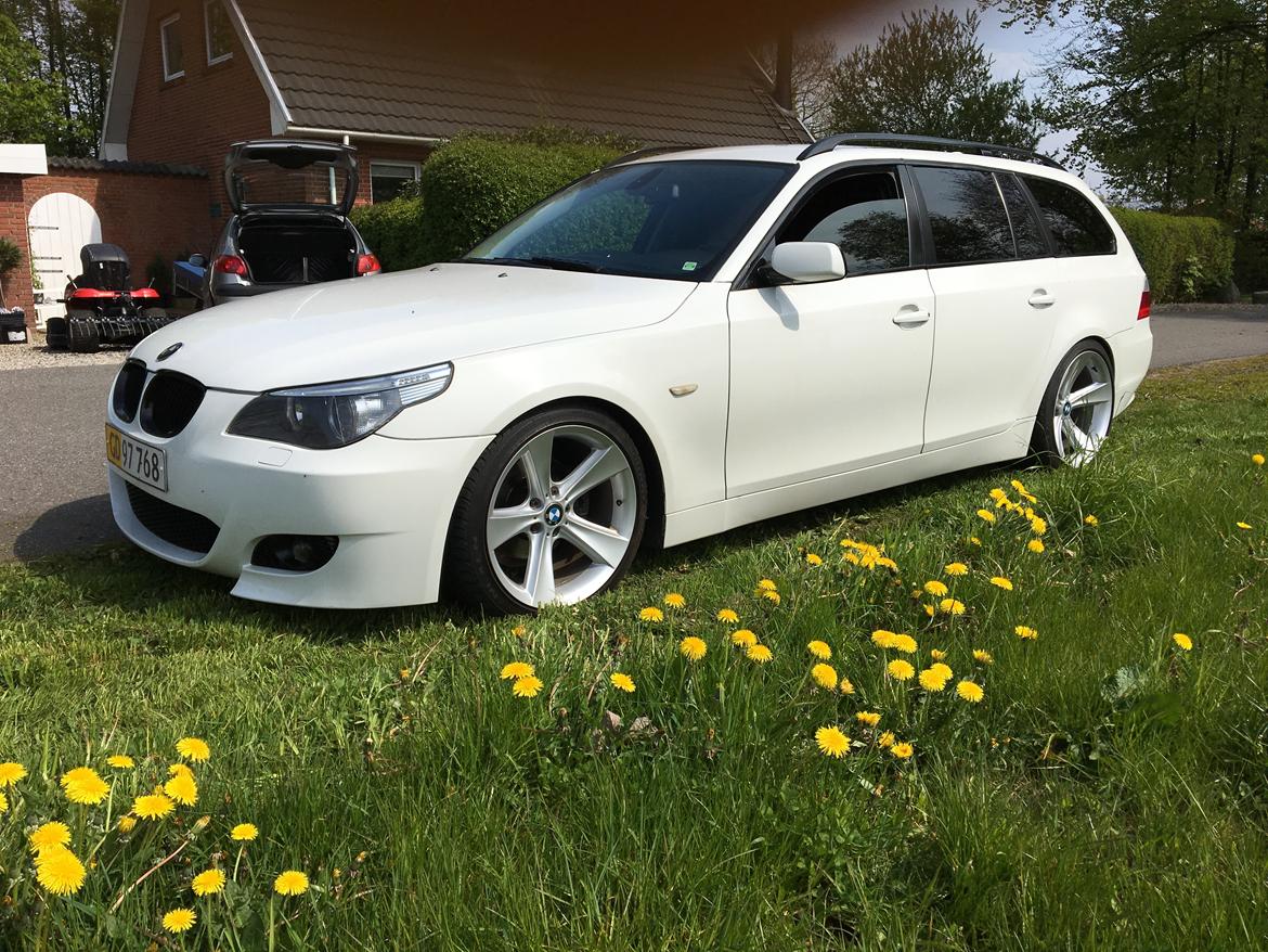 BMW E61 530d billede 7