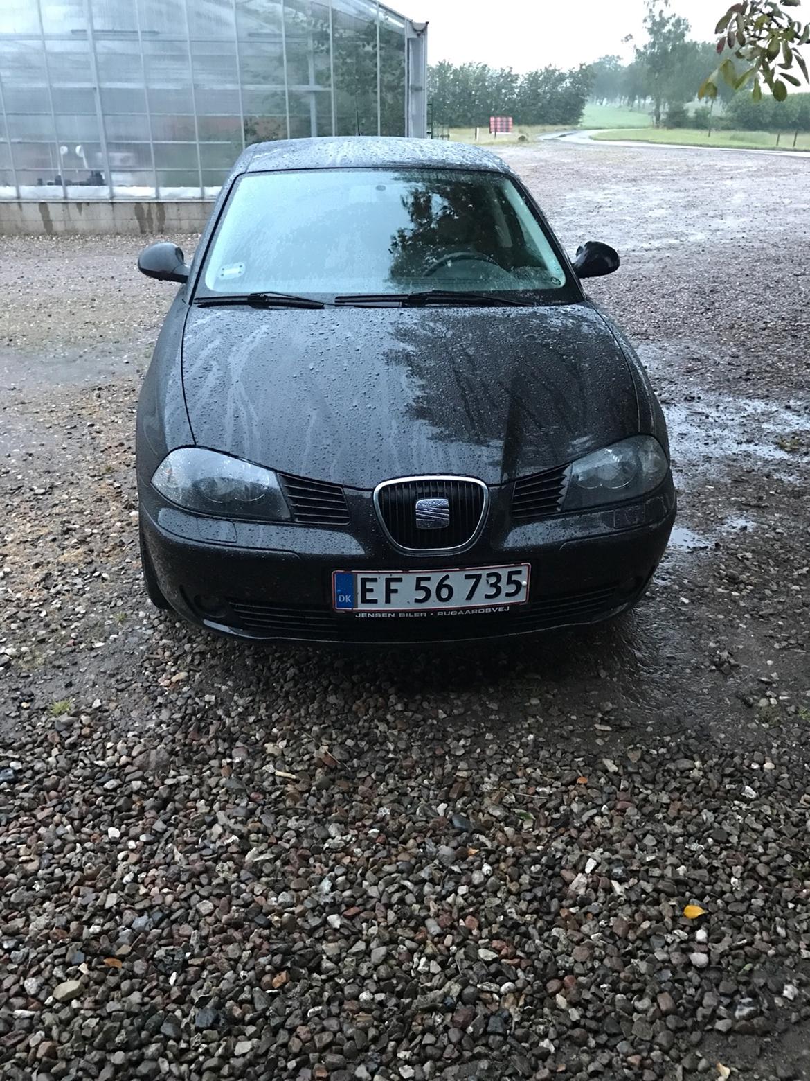 Seat Ibiza 6L billede 2