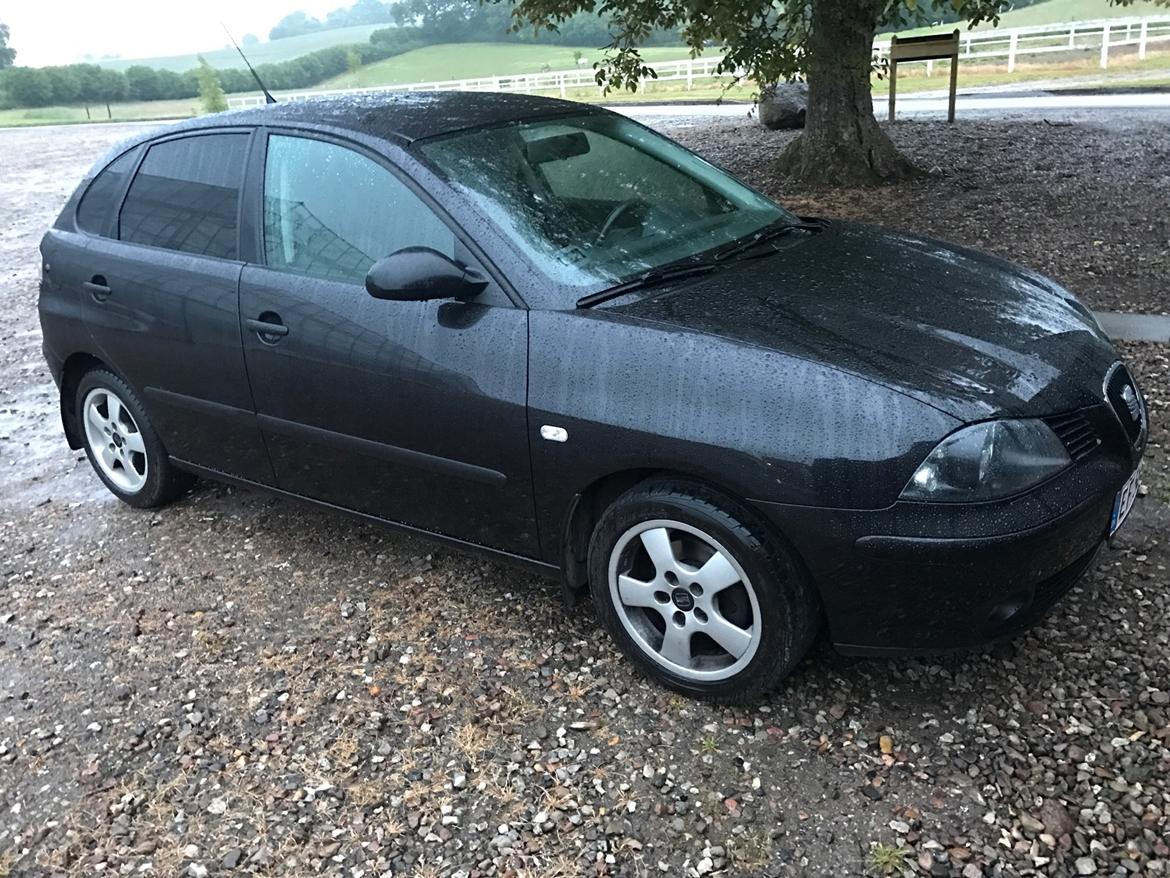 Seat Ibiza 6L billede 1