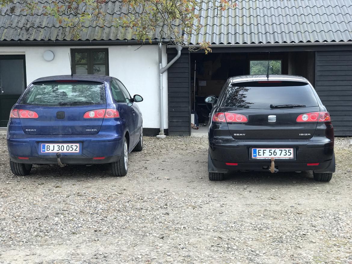 Seat Ibiza 6L billede 5