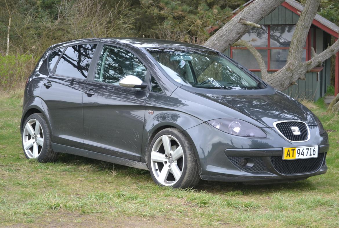 Seat Altea Styling  billede 1