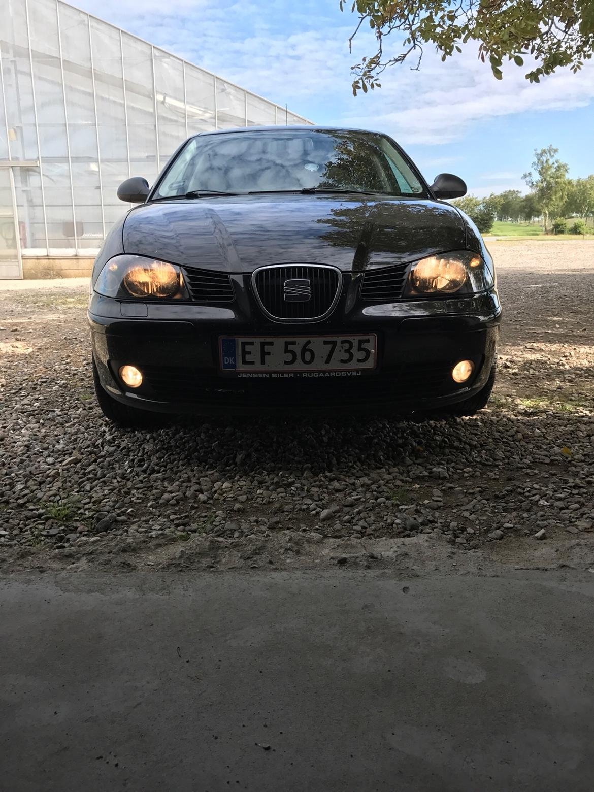 Seat Ibiza 6L billede 6