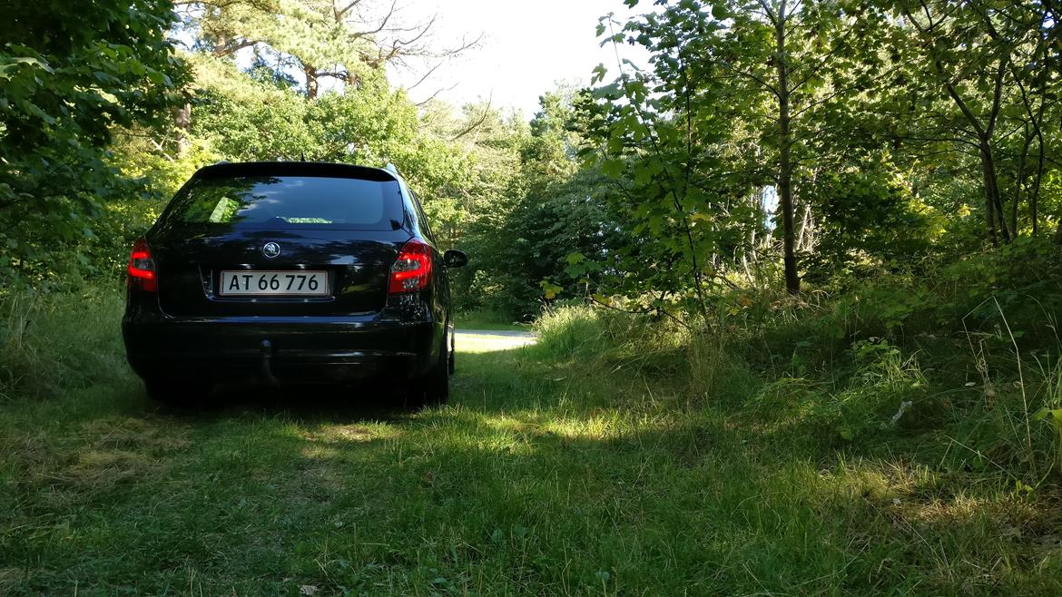 Skoda Fabia 1.4 TDi Greenline - Før den blev skruet ned, og på de gamle fælge billede 15