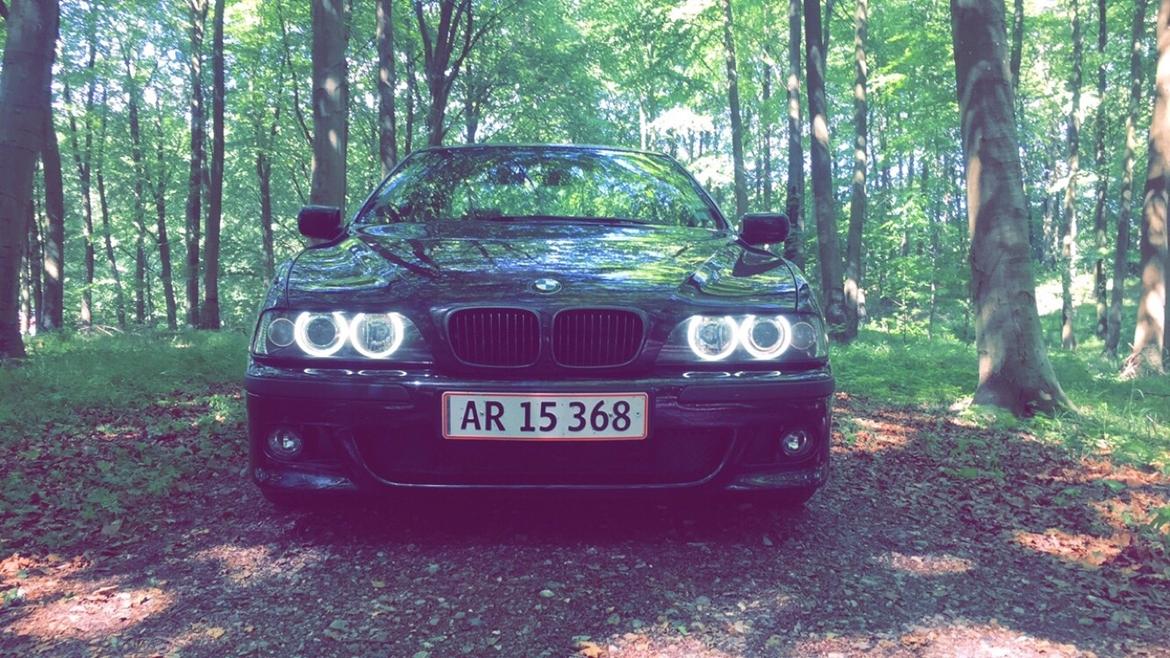 BMW E39 - 535i - V8 billede 6