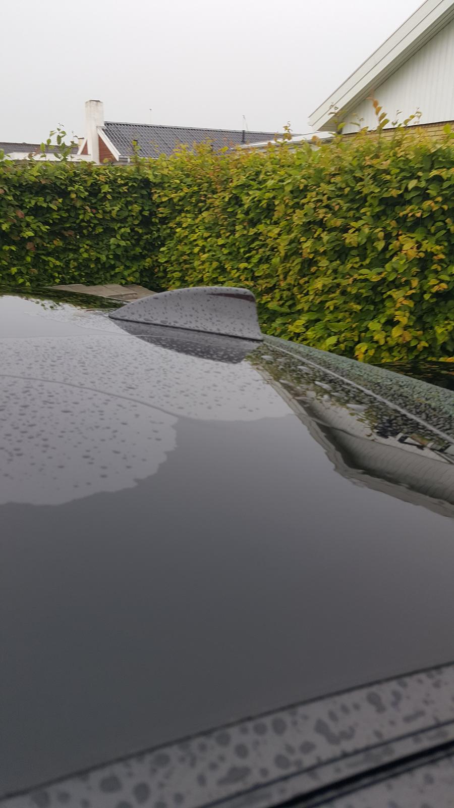 BMW E60 525i billede 7