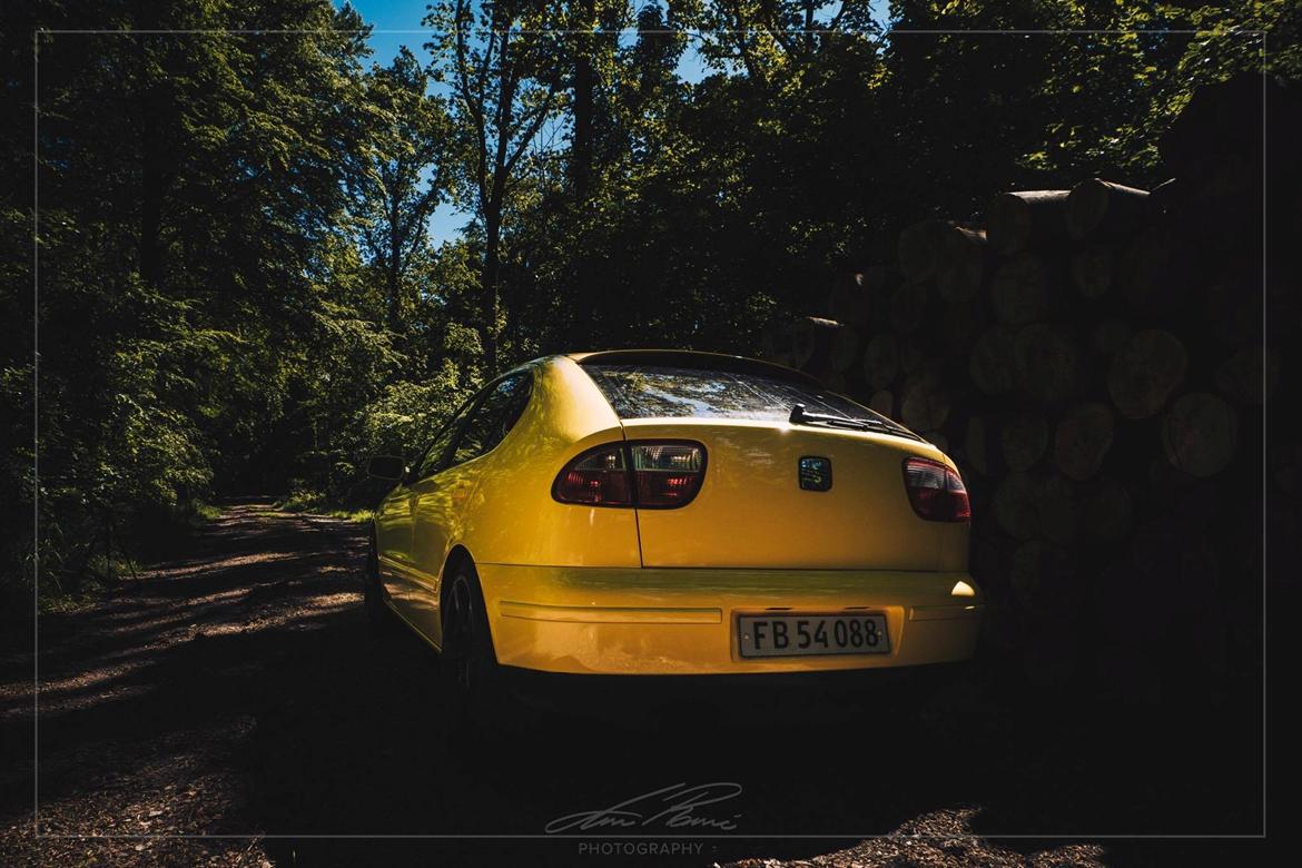 Seat Leon 1.8T 4x4 billede 3