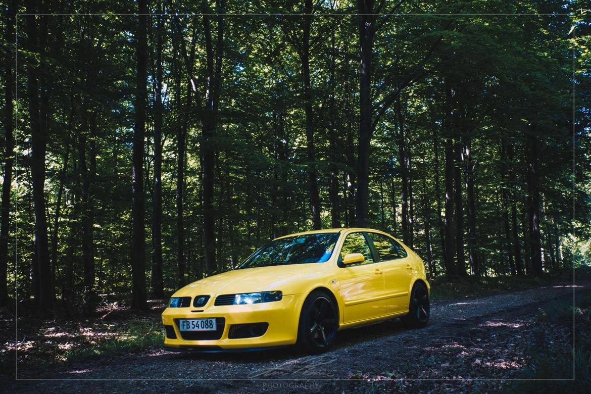 Seat Leon 1.8T 4x4 billede 2