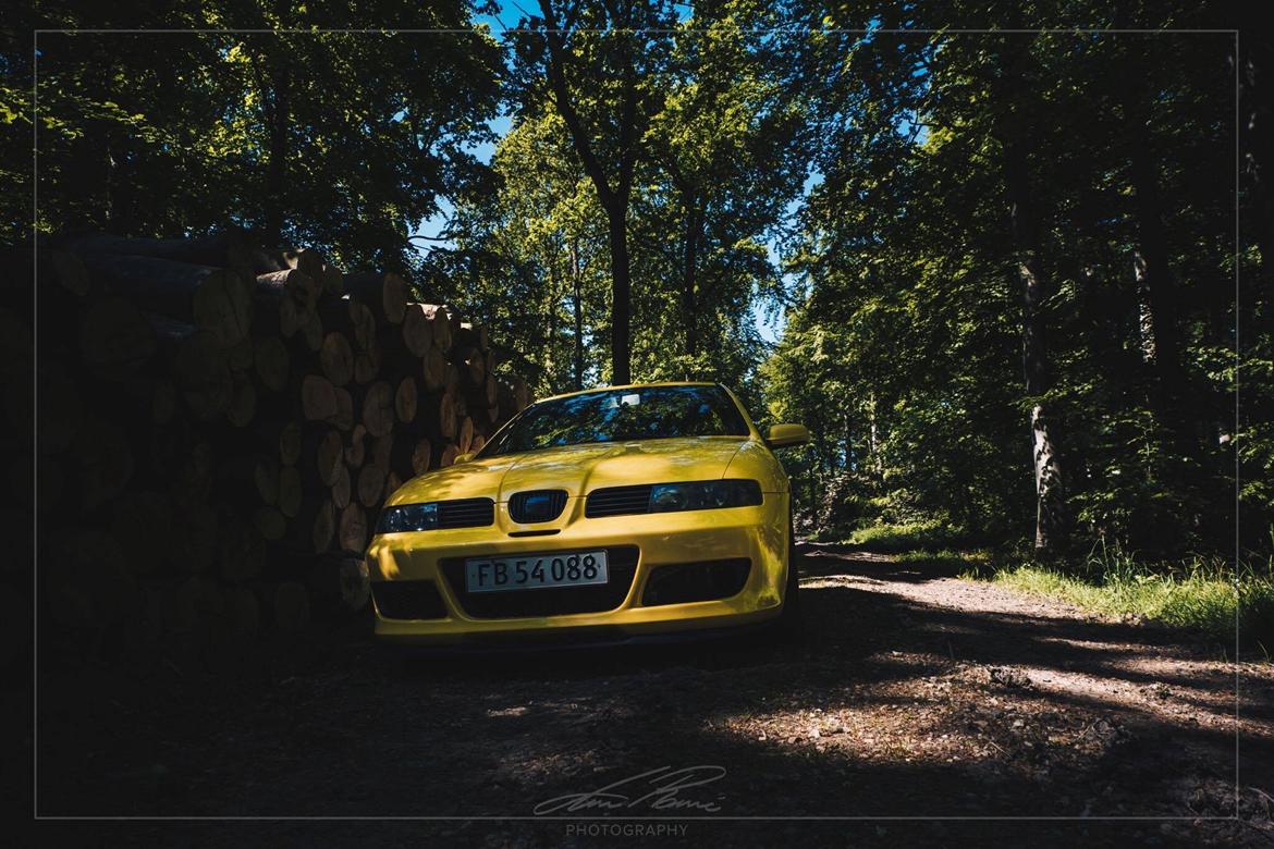 Seat Leon 1.8T 4x4 billede 5