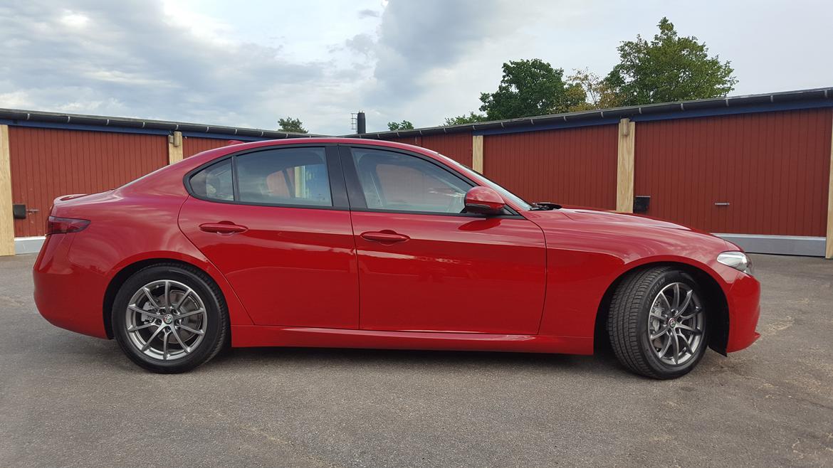 Alfa Romeo Giulia Super billede 2