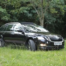 Skoda Octavia 3 FL Style Combi *SOLGT*