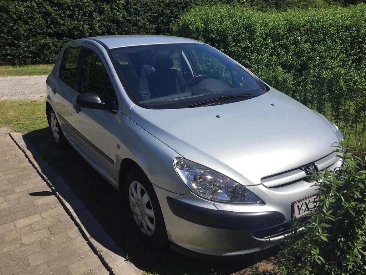 Peugeot 307 1.6 5d  billede 1
