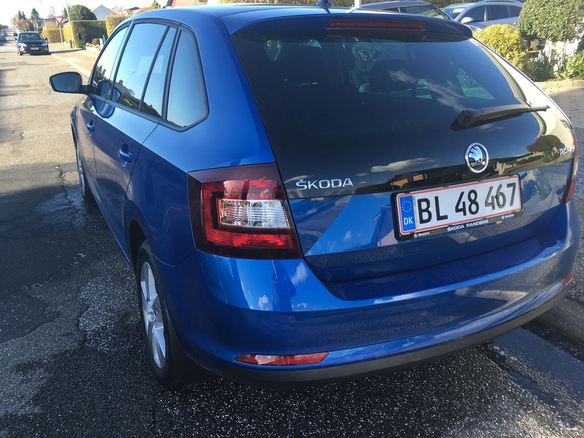 Skoda rapid Spaceback style  billede 7