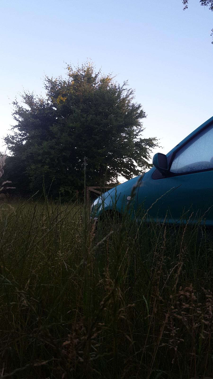 VW polo 6n Facelift billede 17