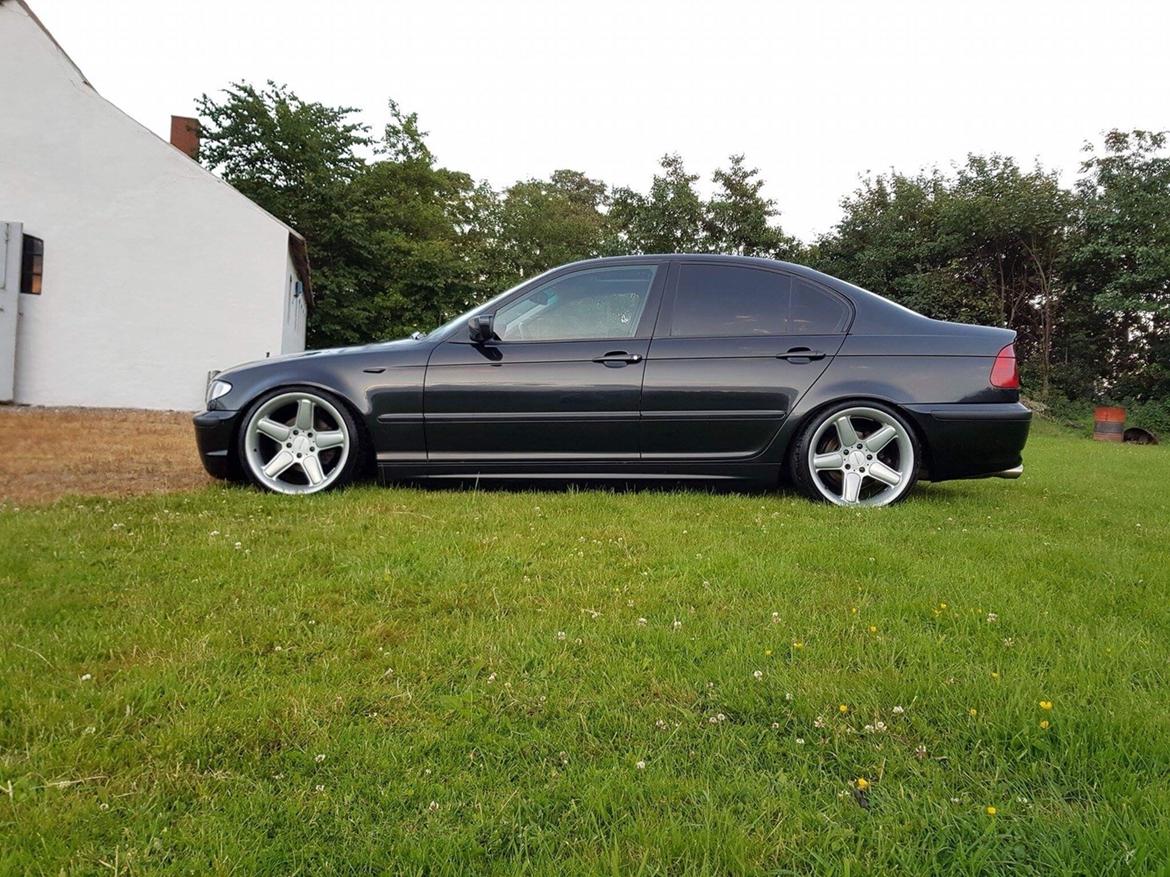 BMW Bmw e46 lowrider billede 10