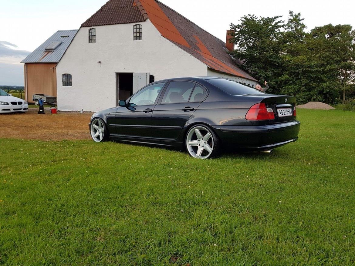 BMW Bmw e46 lowrider billede 15