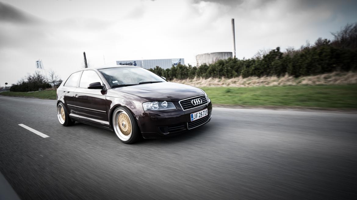 Audi A3 8p billede 1