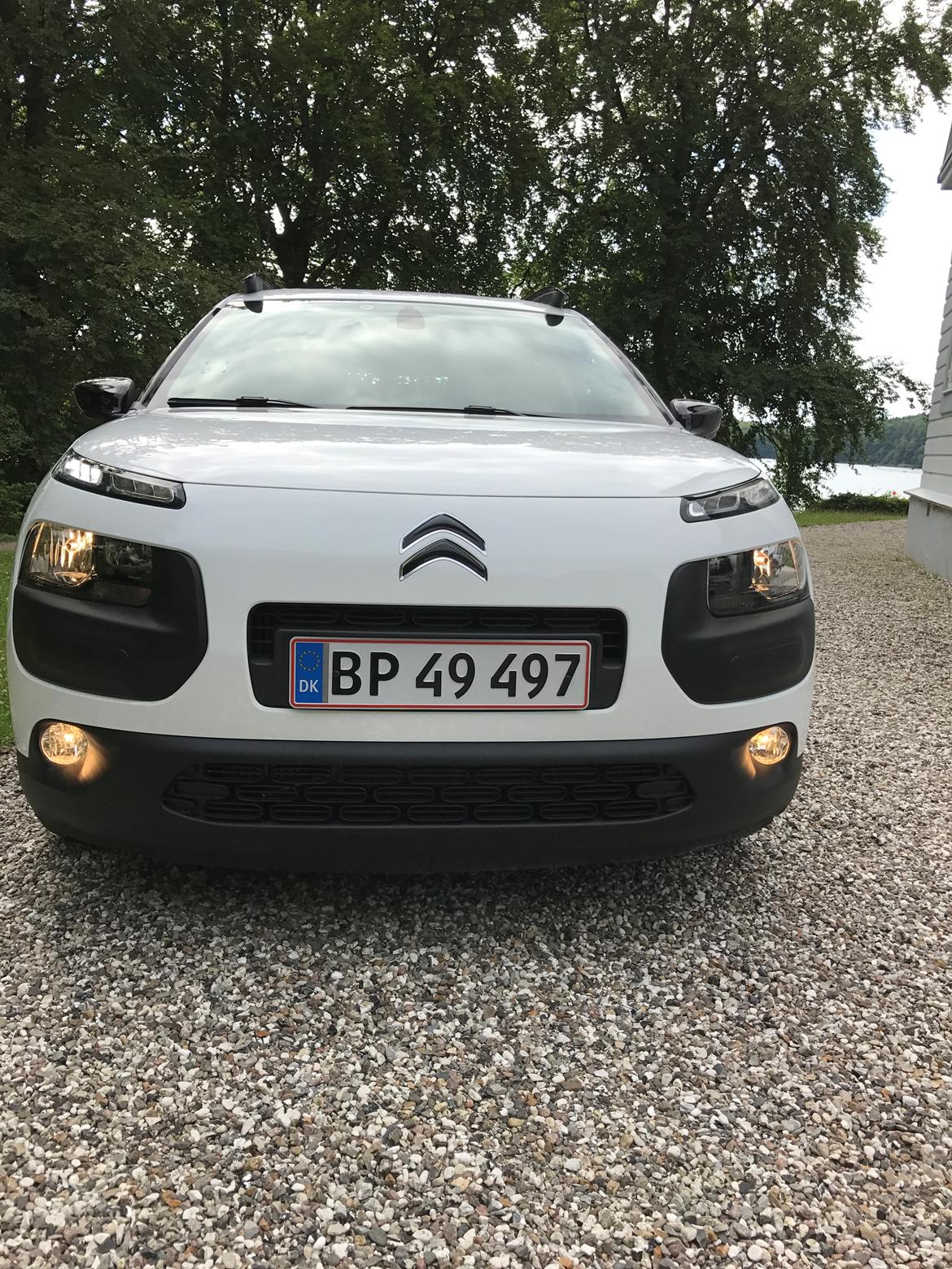 Citroën C4 cactus  billede 2