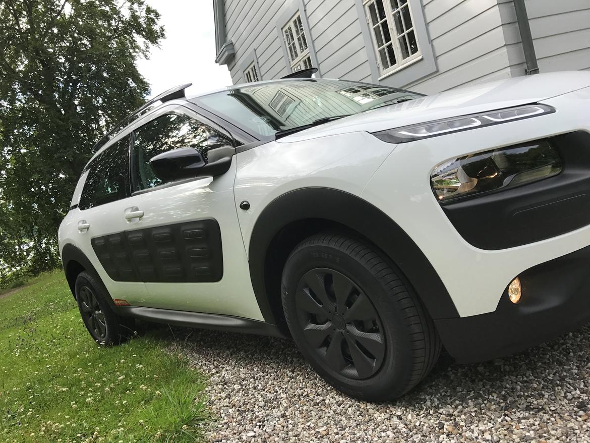 Citroën C4 cactus  billede 3