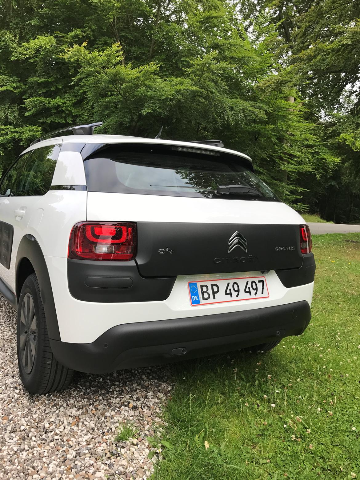 Citroën C4 cactus  billede 5