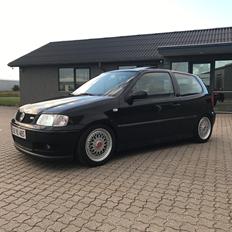 VW Polo 6n2 GTI