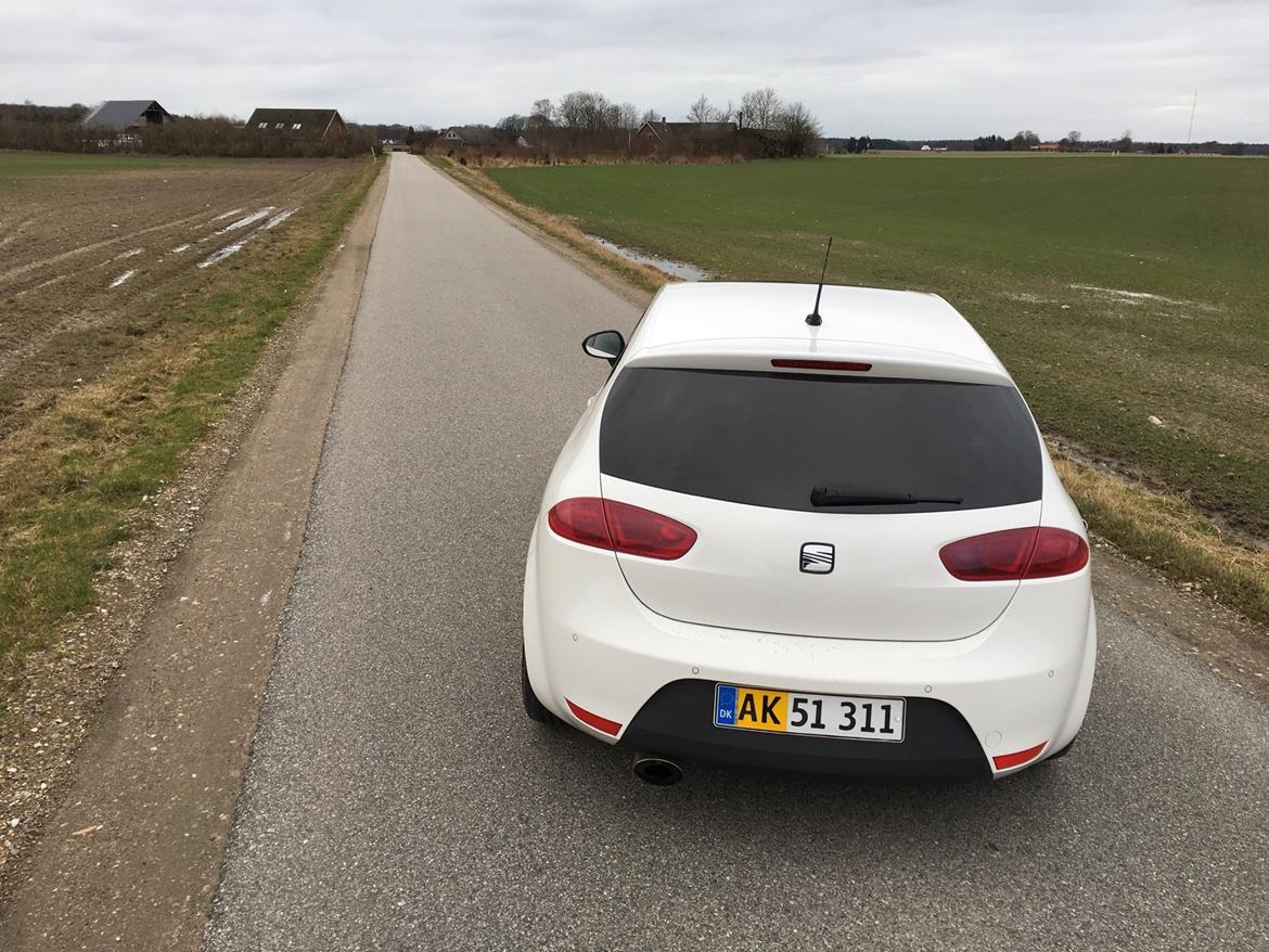 Seat Leon Cupra R billede 6