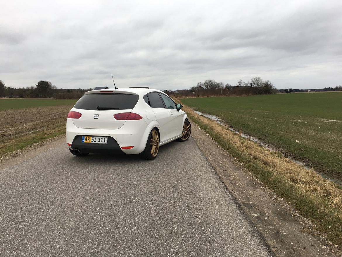 Seat Leon Cupra R billede 8