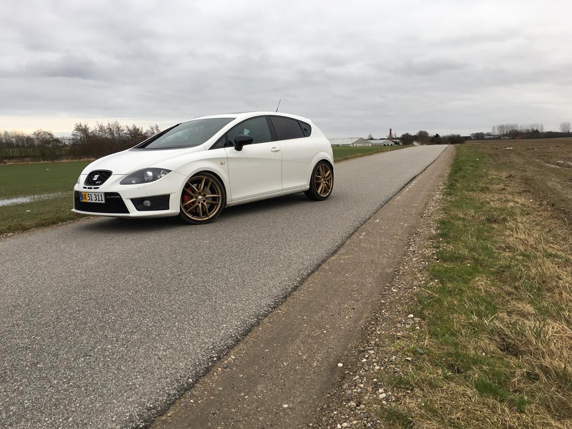 Seat Leon Cupra R billede 9