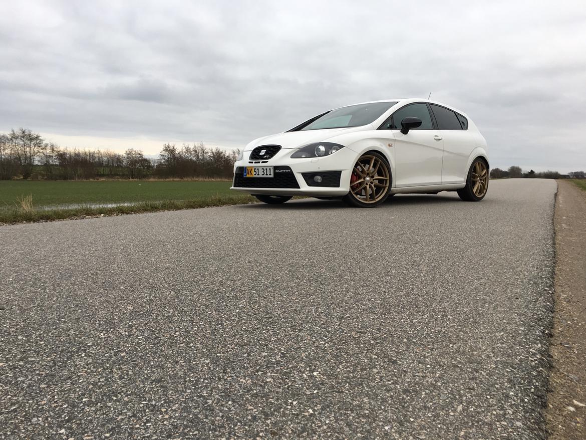 Seat Leon Cupra R billede 11
