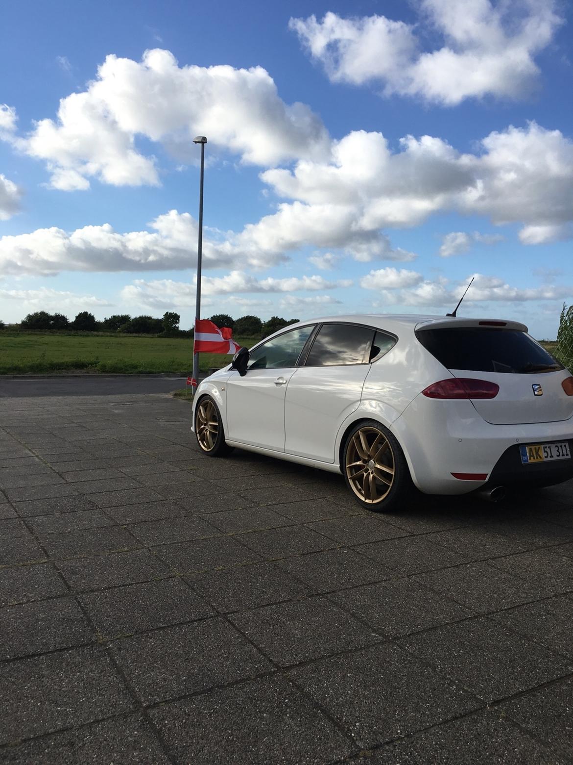 Seat Leon Cupra R billede 13