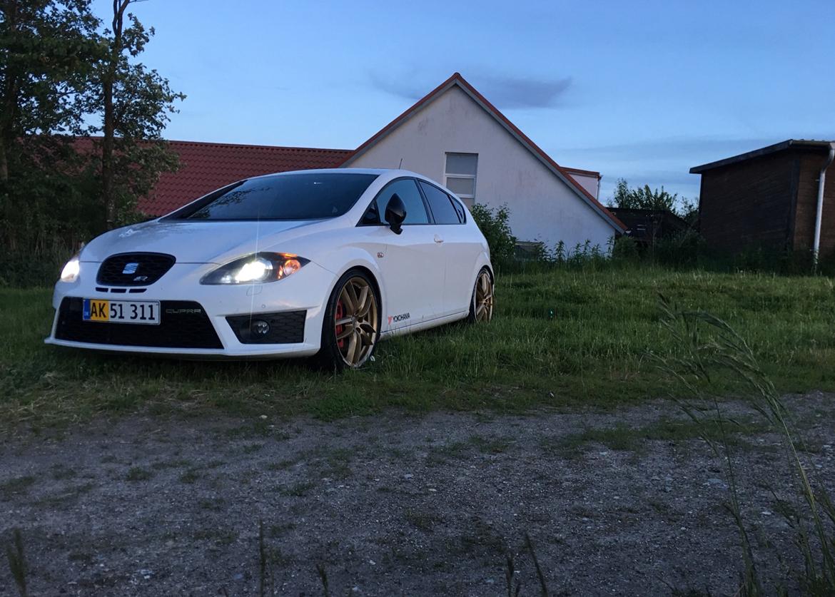 Seat Leon Cupra R billede 15