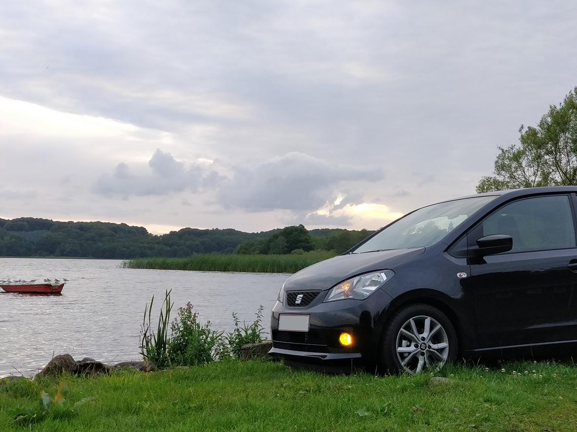 Seat Mii 1.0 Sport - Nyeste billede af den pr 28/7-17 billede 3