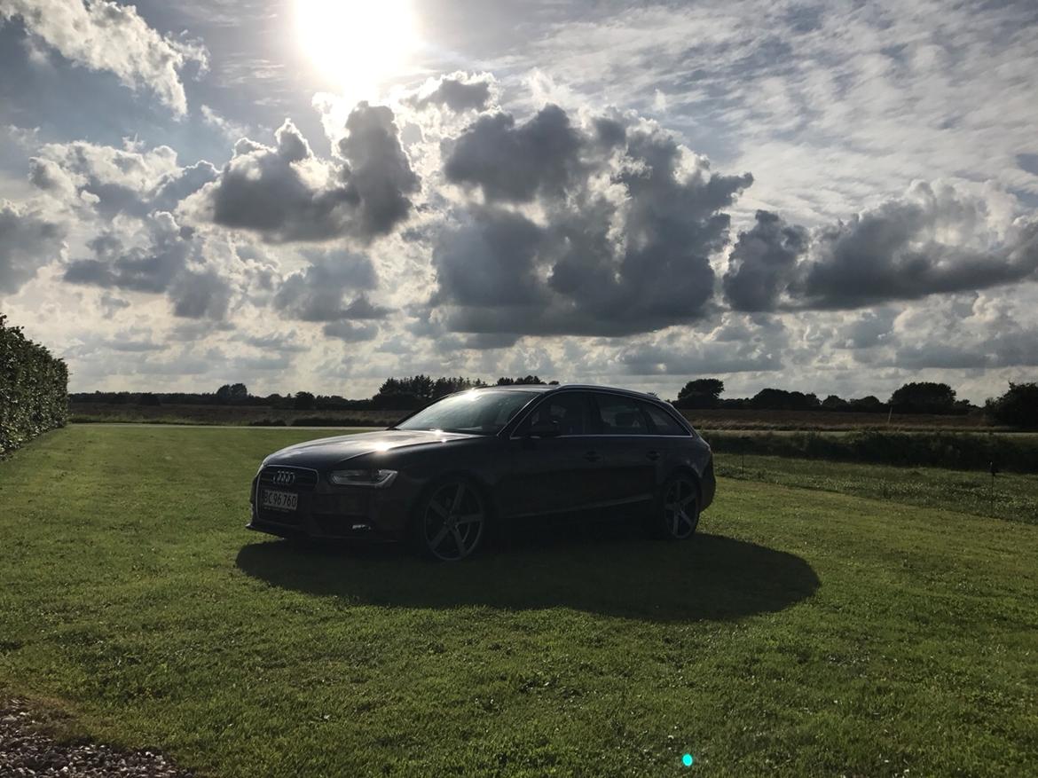 Audi A4 b8 billede 13