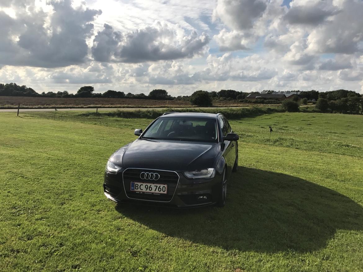 Audi A4 b8 billede 14