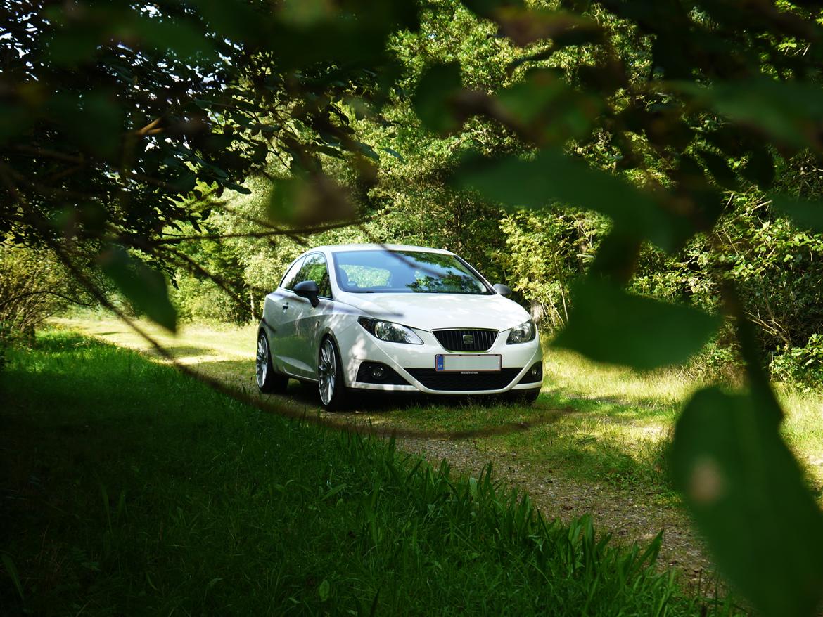 Seat Ibiza SC eco • 1.2 TDi billede 1