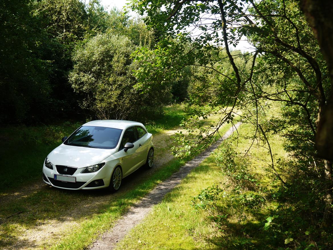 Seat Ibiza SC eco • 1.2 TDi billede 13