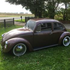 VW Bobbel 1600