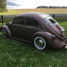 VW Bobbel 1600