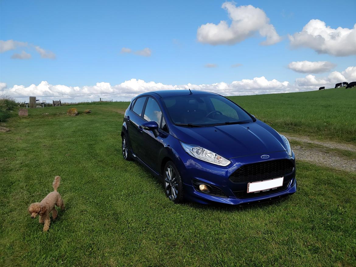 Ford Fiesta 1.0 EcoBoost ST-Line billede 5