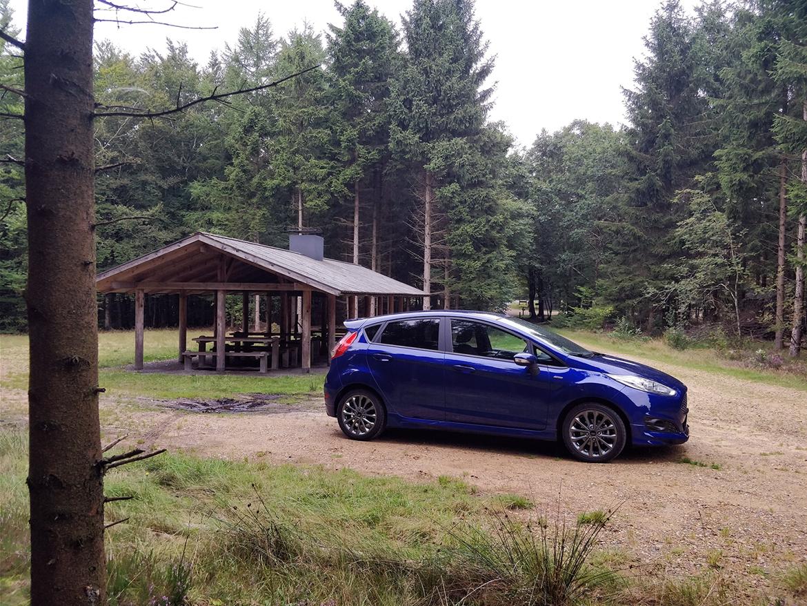 Ford Fiesta 1.0 EcoBoost ST-Line billede 2