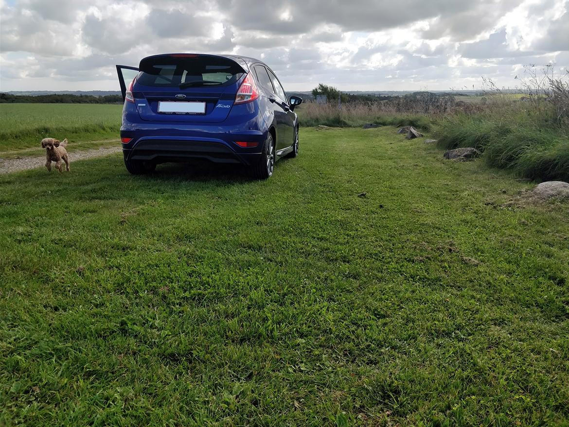 Ford Fiesta 1.0 EcoBoost ST-Line billede 14